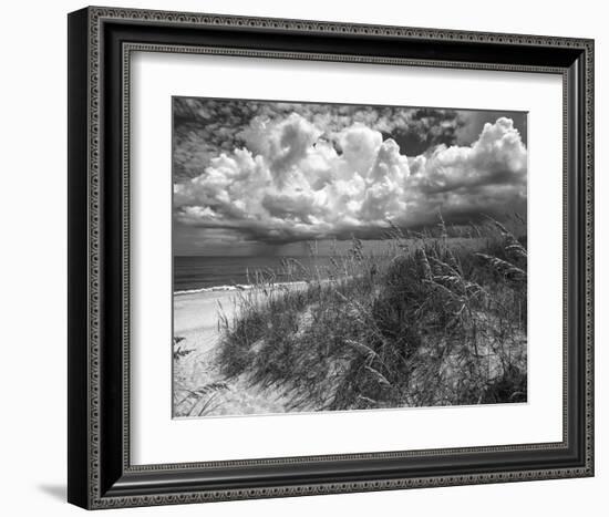 Another Glorius Day-Eve Turek-Framed Art Print