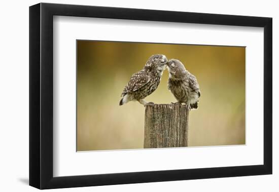 Another Little Peck-Mark Bridger-Framed Art Print