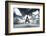 Another Look at Paris-Philippe Hugonnard-Framed Photographic Print