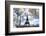 Another Look at Paris-Philippe Hugonnard-Framed Photographic Print