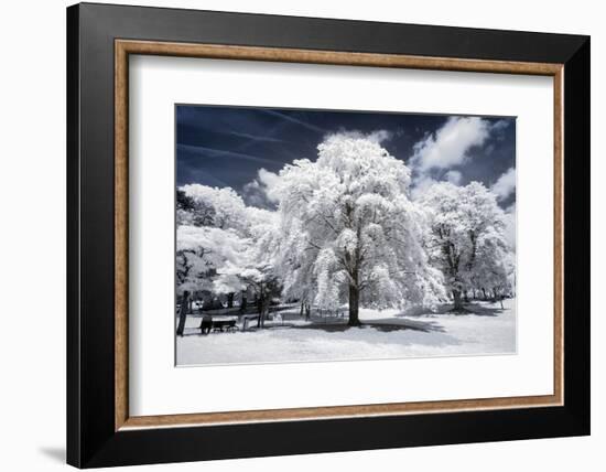 Another Look at Paris-Philippe Hugonnard-Framed Photographic Print