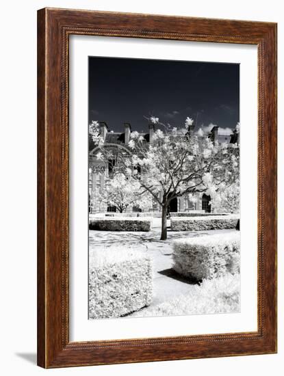 Another Look - Paris-Philippe Hugonnard-Framed Photographic Print