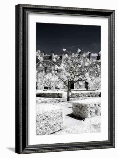 Another Look - Paris-Philippe Hugonnard-Framed Photographic Print