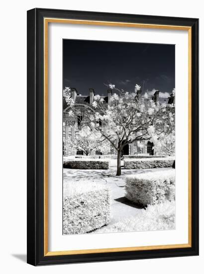 Another Look - Paris-Philippe Hugonnard-Framed Photographic Print