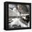 Another Look - Paris-Philippe Hugonnard-Framed Premier Image Canvas