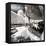 Another Look - Paris-Philippe Hugonnard-Framed Premier Image Canvas