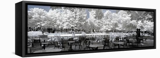 Another Look - Paris-Philippe Hugonnard-Framed Premier Image Canvas