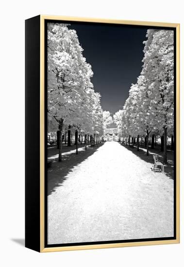 Another Look - Paris-Philippe Hugonnard-Framed Premier Image Canvas