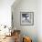 Another Look - Paris-Philippe Hugonnard-Framed Photographic Print displayed on a wall