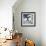 Another Look - Paris-Philippe Hugonnard-Framed Photographic Print displayed on a wall