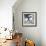 Another Look - Paris-Philippe Hugonnard-Framed Photographic Print displayed on a wall