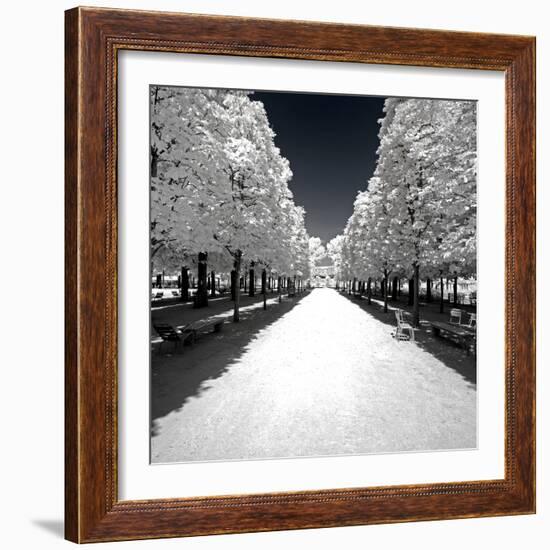 Another Look - Paris-Philippe Hugonnard-Framed Photographic Print