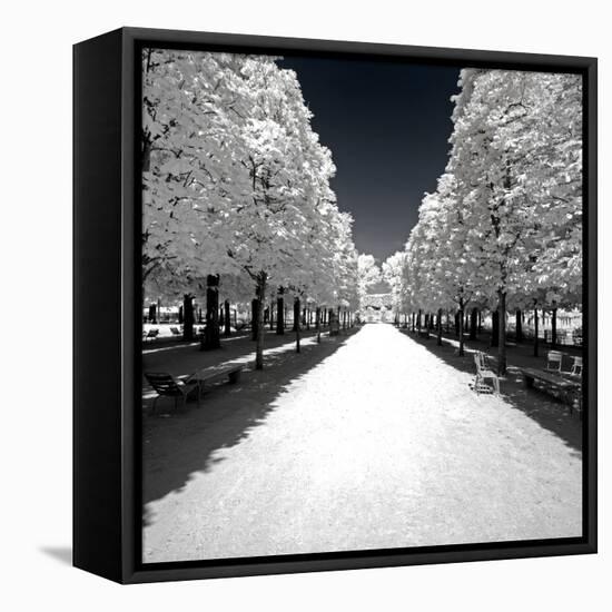 Another Look - Paris-Philippe Hugonnard-Framed Premier Image Canvas