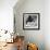 Another Look - Paris-Philippe Hugonnard-Framed Photographic Print displayed on a wall