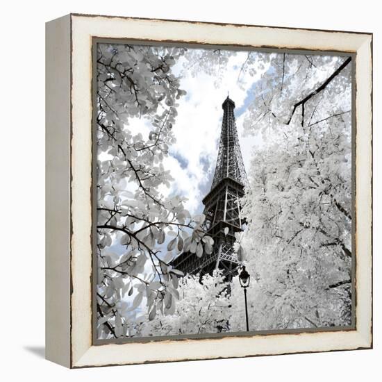 Another Look - Paris-Philippe Hugonnard-Framed Premier Image Canvas