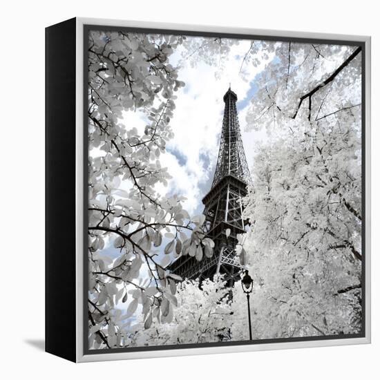 Another Look - Paris-Philippe Hugonnard-Framed Premier Image Canvas