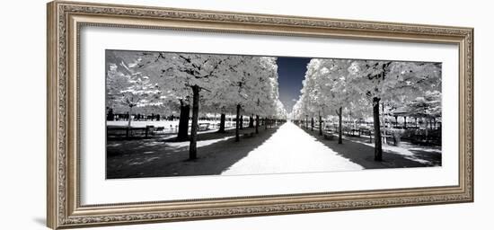 Another Look - Paris-Philippe Hugonnard-Framed Photographic Print