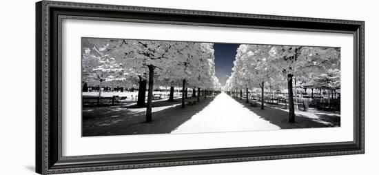 Another Look - Paris-Philippe Hugonnard-Framed Photographic Print