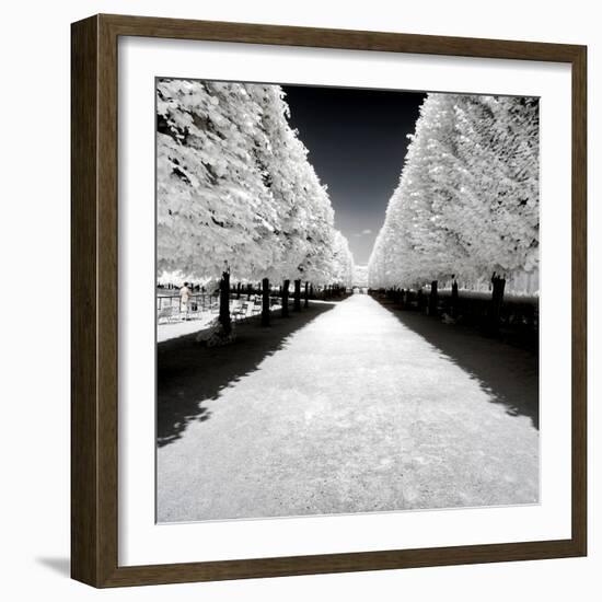 Another Look - Paris-Philippe Hugonnard-Framed Photographic Print