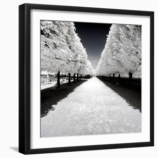 Another Look - Paris-Philippe Hugonnard-Framed Photographic Print