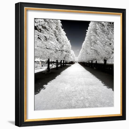 Another Look - Paris-Philippe Hugonnard-Framed Photographic Print