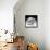 Another Look - Paris-Philippe Hugonnard-Framed Premier Image Canvas displayed on a wall