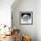 Another Look - Paris-Philippe Hugonnard-Framed Photographic Print displayed on a wall