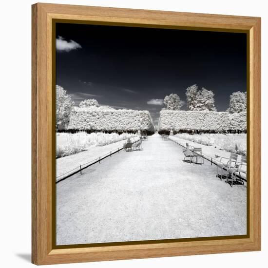 Another Look - Paris-Philippe Hugonnard-Framed Premier Image Canvas