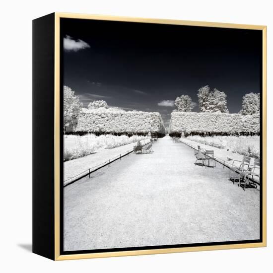 Another Look - Paris-Philippe Hugonnard-Framed Premier Image Canvas