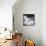 Another Look - Paris-Philippe Hugonnard-Framed Premier Image Canvas displayed on a wall