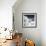 Another Look - Paris-Philippe Hugonnard-Framed Photographic Print displayed on a wall