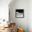 Another Look - Paris-Philippe Hugonnard-Framed Premier Image Canvas displayed on a wall