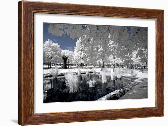 Another Look - Paris-Philippe Hugonnard-Framed Photographic Print