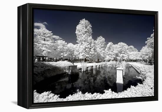 Another Look - Paris-Philippe Hugonnard-Framed Premier Image Canvas