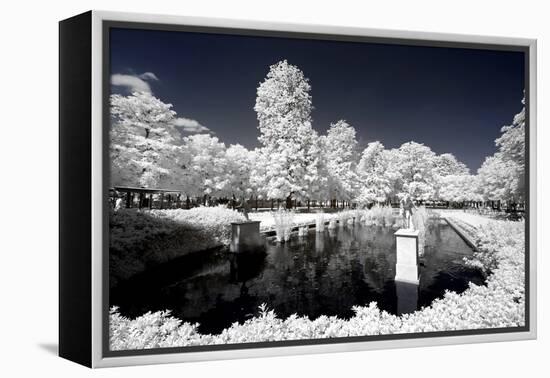 Another Look - Paris-Philippe Hugonnard-Framed Premier Image Canvas