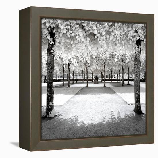 Another Look - Paris-Philippe Hugonnard-Framed Premier Image Canvas