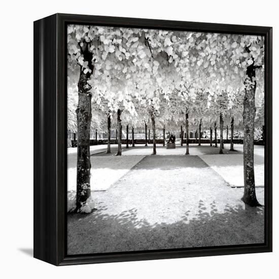 Another Look - Paris-Philippe Hugonnard-Framed Premier Image Canvas