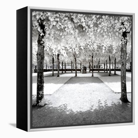 Another Look - Paris-Philippe Hugonnard-Framed Premier Image Canvas