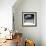 Another Look - Paris-Philippe Hugonnard-Framed Photographic Print displayed on a wall