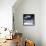 Another Look - Paris-Philippe Hugonnard-Framed Premier Image Canvas displayed on a wall