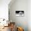 Another Look - Paris-Philippe Hugonnard-Photographic Print displayed on a wall