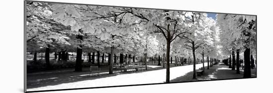 Another Look - Paris-Philippe Hugonnard-Mounted Photographic Print