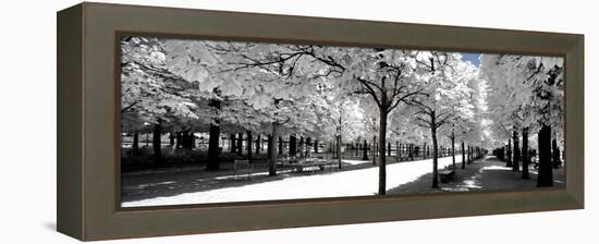 Another Look - Paris-Philippe Hugonnard-Framed Premier Image Canvas