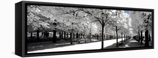 Another Look - Paris-Philippe Hugonnard-Framed Premier Image Canvas