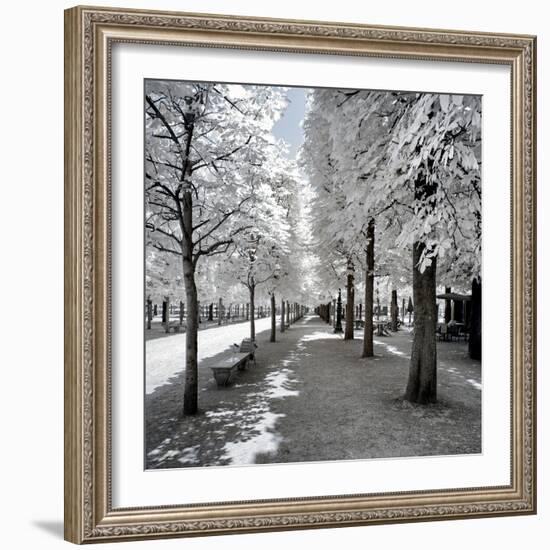 Another Look - Paris-Philippe Hugonnard-Framed Photographic Print