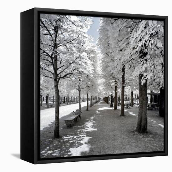 Another Look - Paris-Philippe Hugonnard-Framed Premier Image Canvas