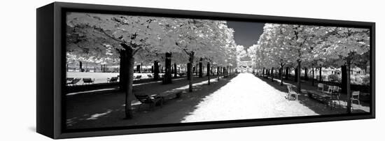 Another Look - Paris-Philippe Hugonnard-Framed Premier Image Canvas