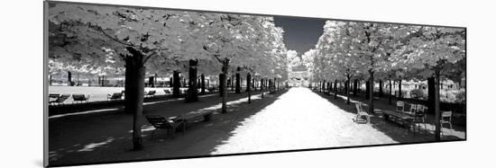 Another Look - Paris-Philippe Hugonnard-Mounted Photographic Print