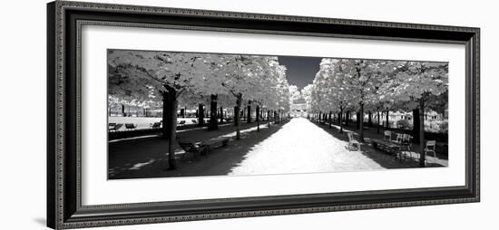 Another Look - Paris-Philippe Hugonnard-Framed Photographic Print