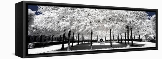 Another Look - Paris-Philippe Hugonnard-Framed Premier Image Canvas